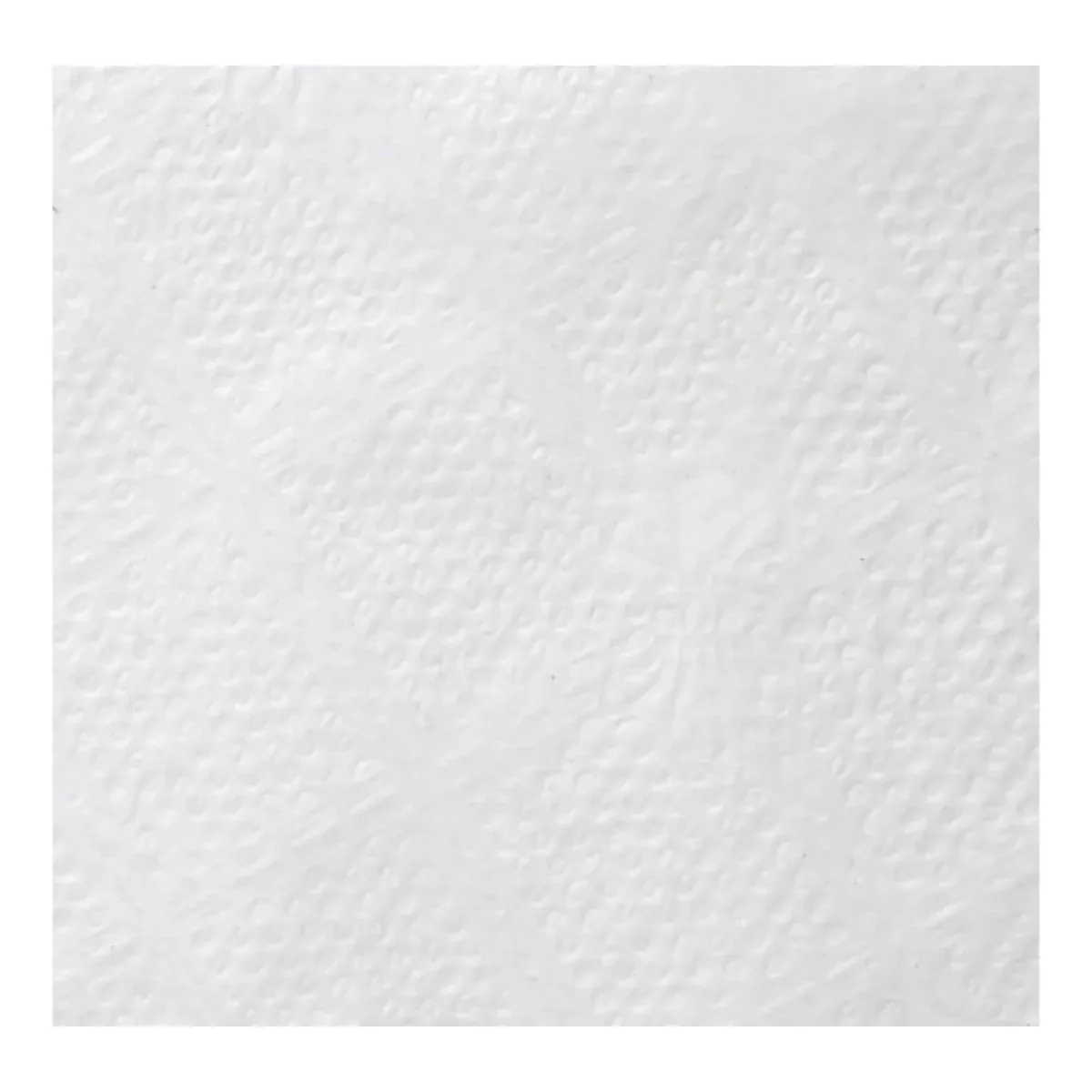 Acclaim Luncheon Napkin