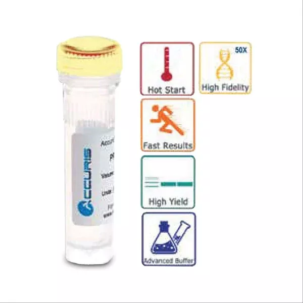 Accuris High Fidelity DNA Polymerase 1000 units ,1 Each