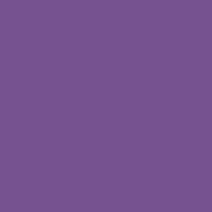 Ames Compatible Large Color Code Label Solid 1 7/8" X 1 7/8" Purple Mylar Permanent - 500 Per Roll