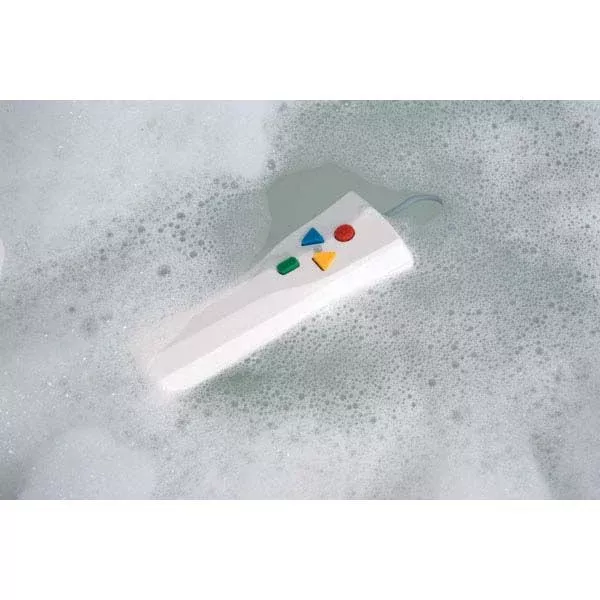 Bellavita Hand Control Pendant Including Storage Battery