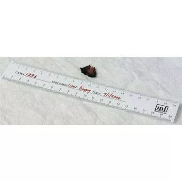 Bio-Ruler Bio-Ruler • Paper • 20 pads ,500 Per Pack