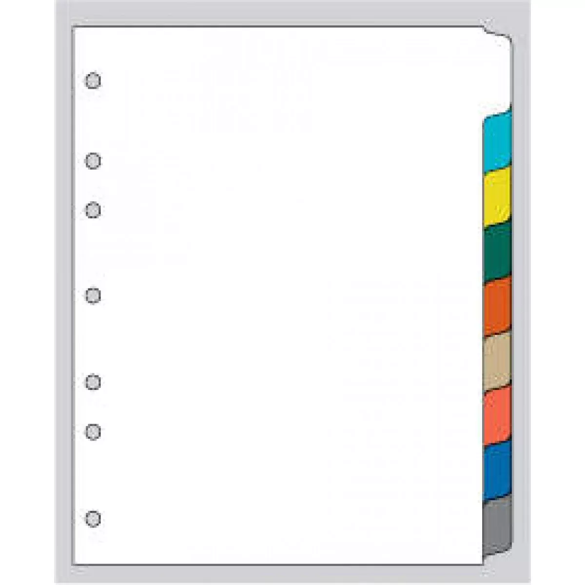 Chart Divider Side Tab 1/9 Cut Blank Multi-Color Poly 8-1/2"X11" - 1 Per Set
