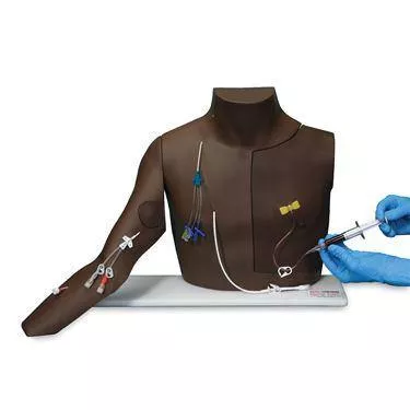 Chester-Chest-Skills-Trainer-Advanced Chester Chest Skills Trainer ,1 Each