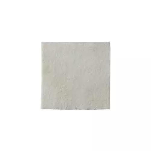Coloplast Biatain Alginate Ag Dressings