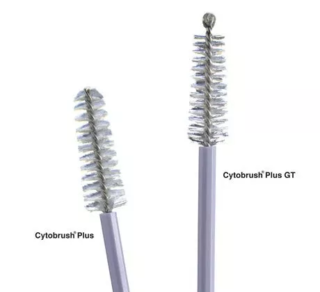 Cytobrush Plus Gt Cytology Brush