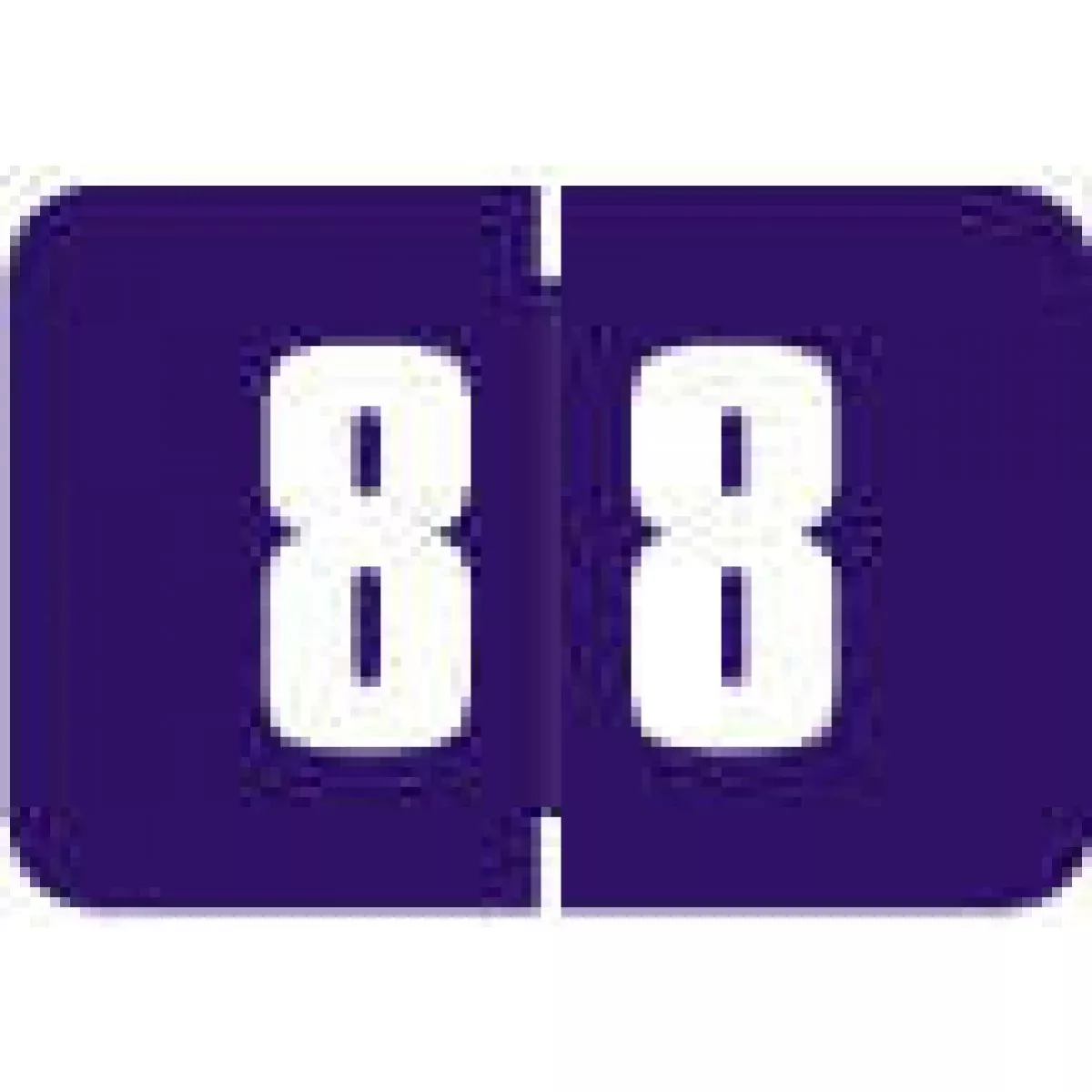 Digicolor Compatible Dcnm Color Code Label Numeric "8 8" 1 1/2X1 Purple Permanent 250 Per Roll