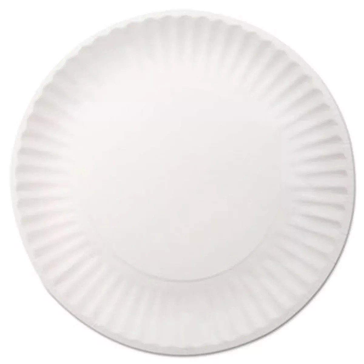 Dixie Paper Plate