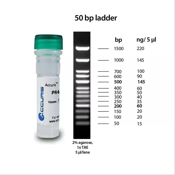 DNA Protein Ladders 5x500ul/500 lanes ,1 Each