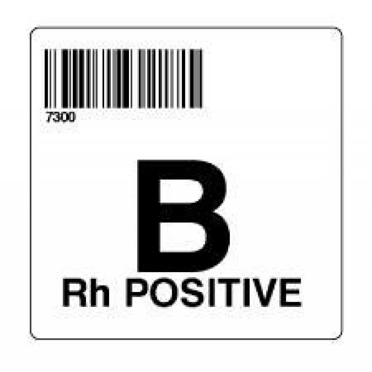 Isbt 128 Label (Synthetic, Permanent) "B Rh Positive'' 2" X 2" White - 500 Per Roll