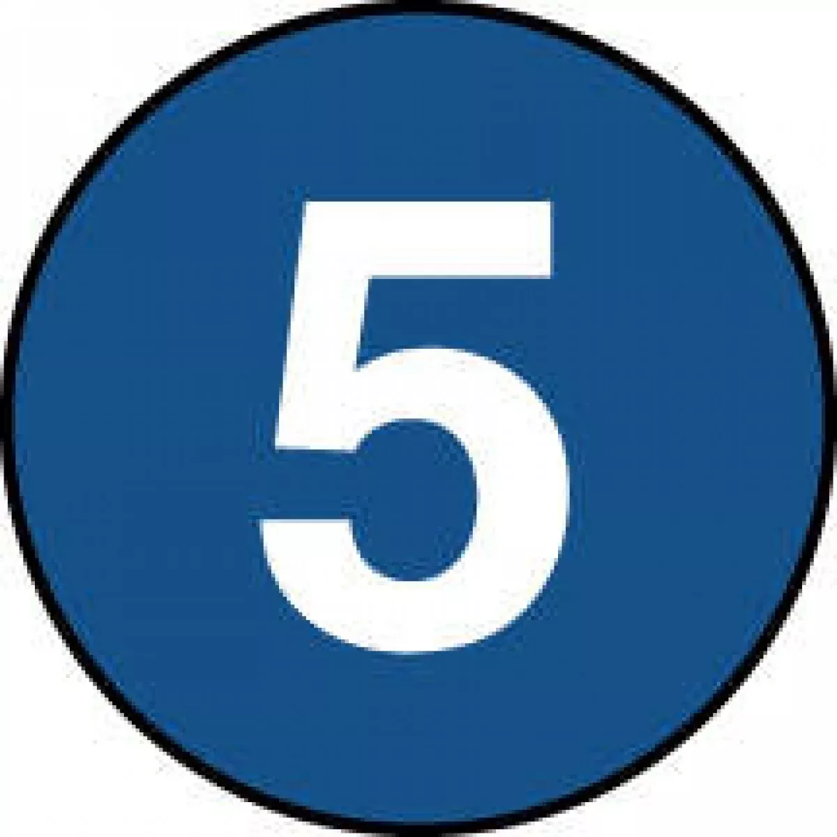 Label Paper Permanent 5 Dark Blue 1000 Per Roll