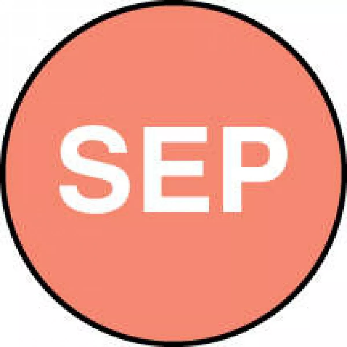 Label Paper Permanent Sep Pink 1000 Per Roll