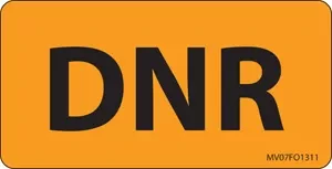 Label Paper Removable Dnr 1" Core 2 15/16" X 1 1/2" Fl. Orange 333 Per Roll