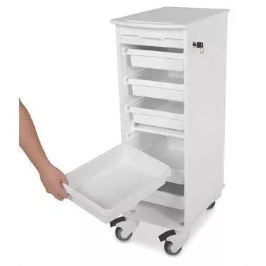 Lockable Storage Carts Lockable Storage Cart ,1 Each