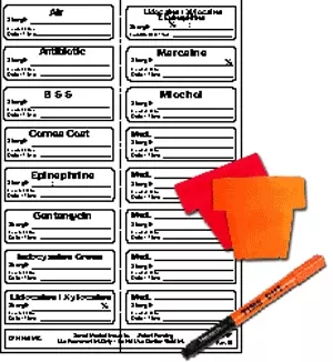 Sterile Label Kit Includes 16 Labels, Flags, And No-Roll Sterile Marker (Permanent) 2 1 7/8" X 9/16" White - 50 Per Case