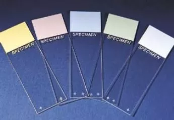 Superfrost Plus Microscope Slide