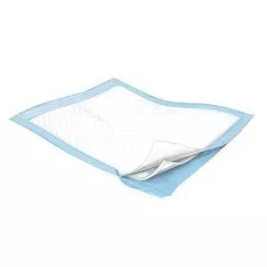 Tendersorb Underpad 23" x 36", Discreet Packaging